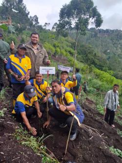 Penanaman pohon di puncak lancang